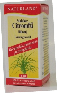 NL CITROMFŰ_11_11218.jpg